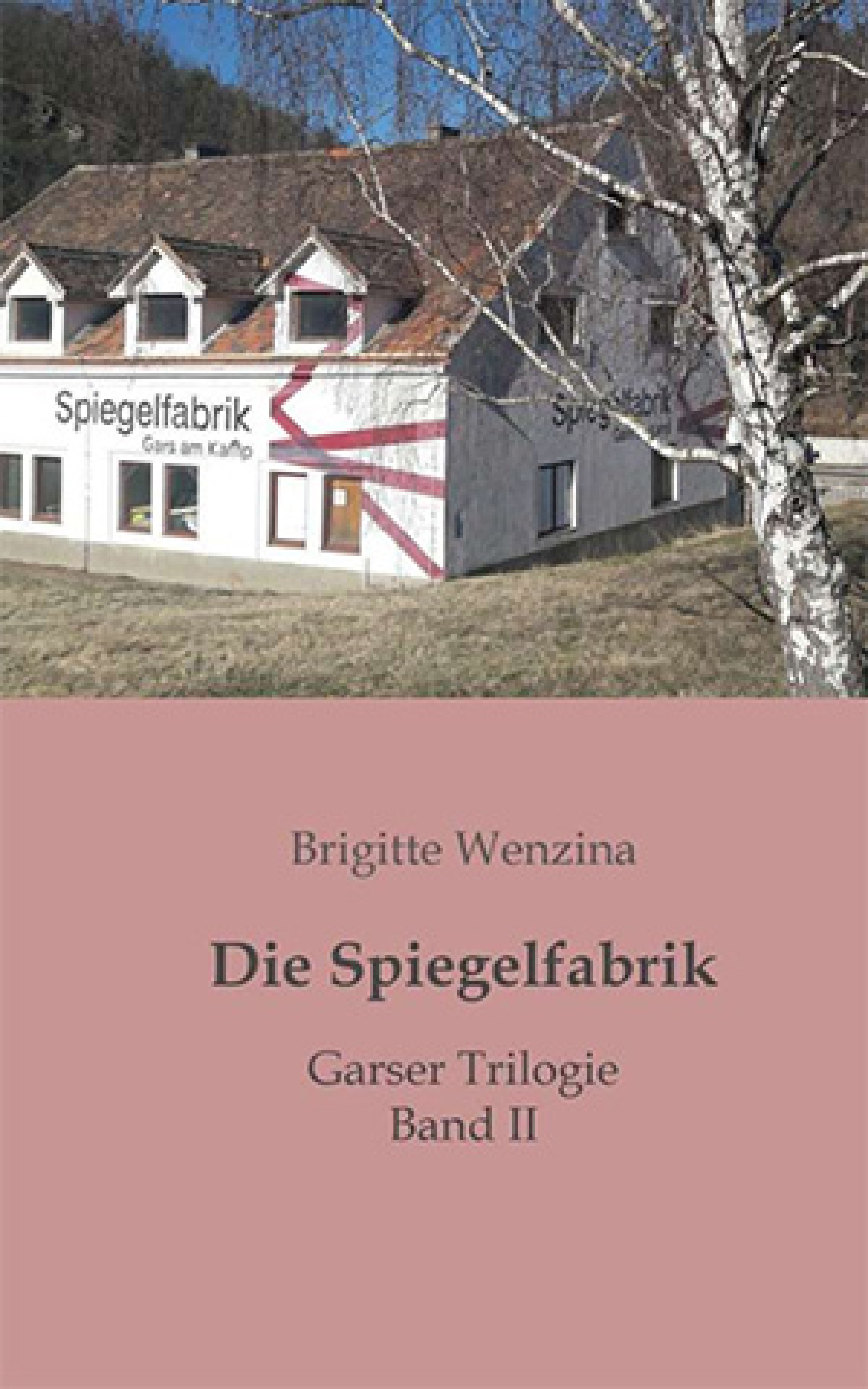 Die Spiegelfabrik Band II ISBN-13: 9783991299301 140 Seiten